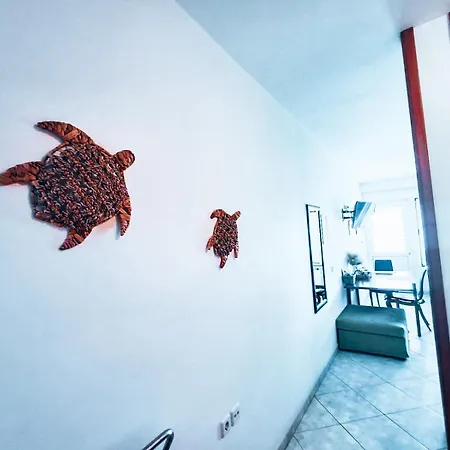 Aqua Blue * 하라키